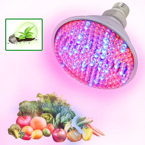 Australians arrested for growing marijuana in China, LED Grow Light high efficient light up