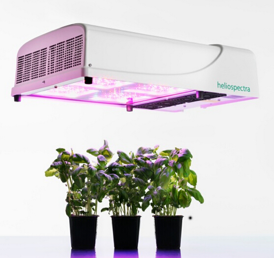 The research of LED lighting effects on plant