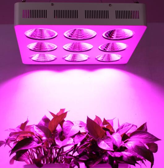 Chinese LED grow lighting industrial road