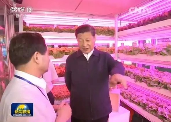 Xi Jinping visited the LED plant factory
