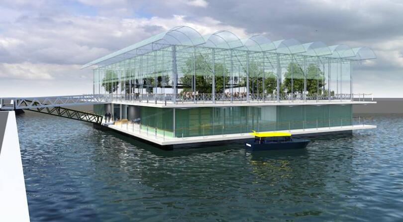The world's first floating farm: LED light planting forage