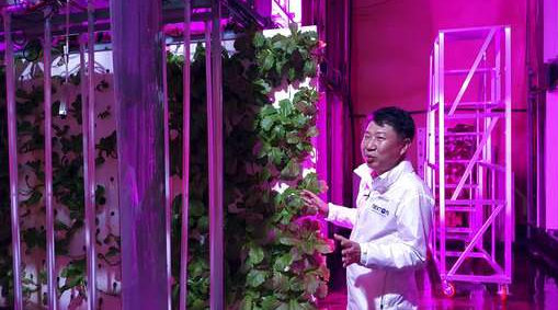 Korea built the world's first tunnel LED lighting vertical farm
