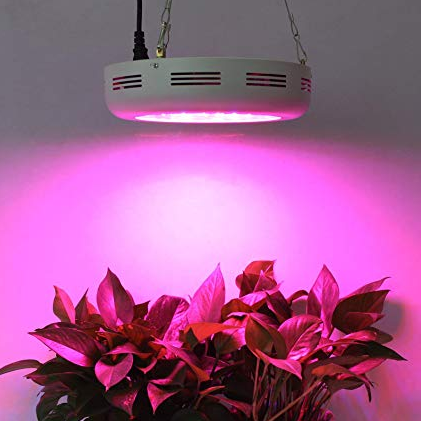 A domestic LED hydroponic lamp string exported to the UK was recalled due to quality problems
