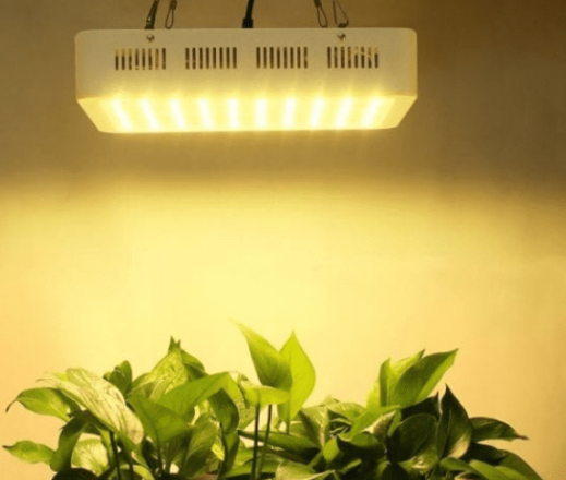 Application of full-spectrum LED lamps