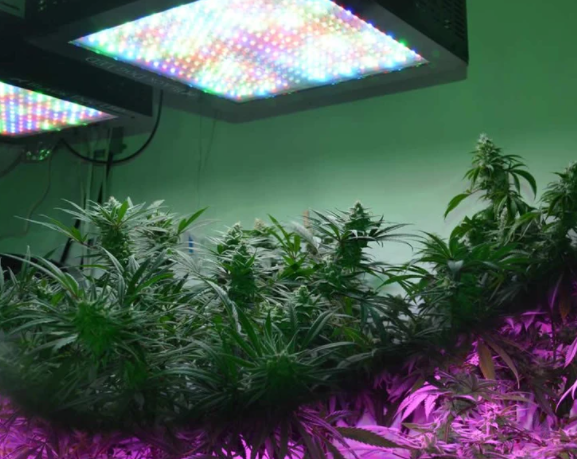What is a full spectrum LED?