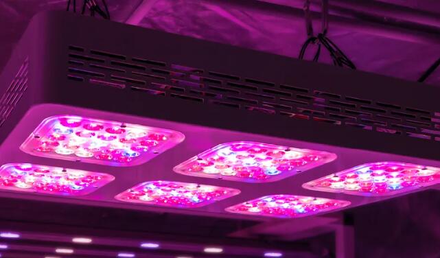 LED grow lights have many benefits