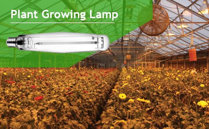 The first one-to-one replacement of 1000-watt high-pressure sodium lamp LED plant lights unveiled