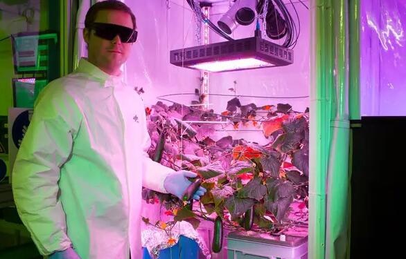 German scientists grow first vegetables in Antarctica with LED lighting