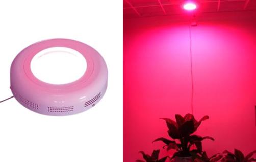 What's the function of LED Grow Lights